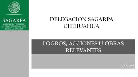 LOGROS, ACCIONES U OBRAS RELEVANTES