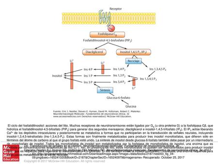 El ciclo del fosfatidilinositol: acciones del litio