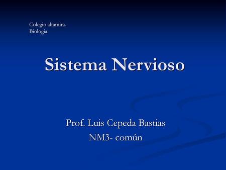 Prof. Luis Cepeda Bastias NM3- común