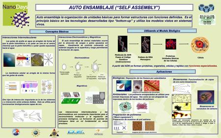 AUTO ENSAMBLAJE (“SELF ASSEMBLY”)
