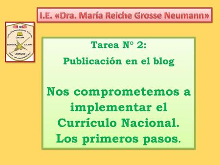I.E. «Dra. María Reiche Grosse Neumann»