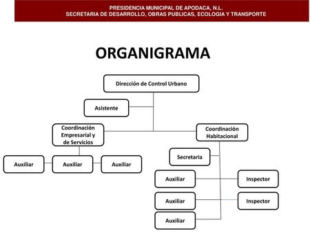ORGANIGRAMA DIRECCION GENERAL CONTROL URBANO