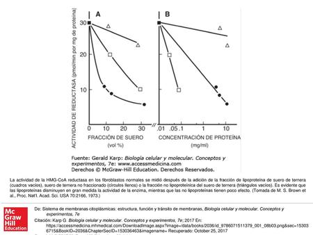 La actividad de la HMG-CoA reductasa en los fibroblastos normales se midió después de la adición de la fracción de lipoproteína de suero de ternera (cuadros.