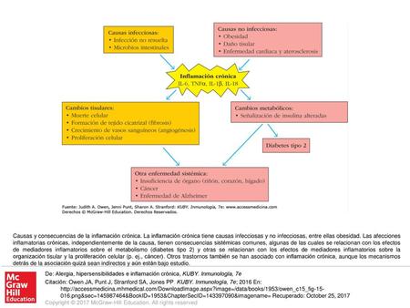 Causas y consecuencias de la inflamación crónica
