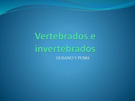 Vertebrados e invertebrados
