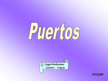 Puertos Cargar Producciones Canelones - Uruguay PULSAR.