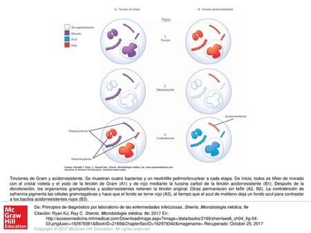 Tinciones de Gram y acidorresistente