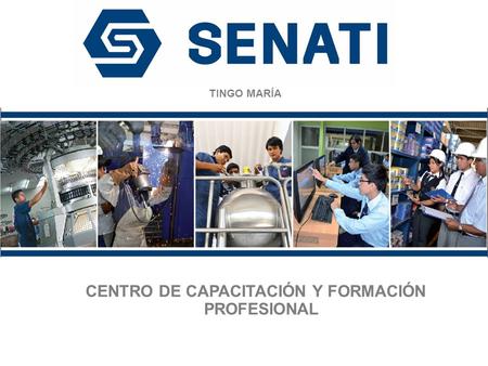 CENTRO DE CAPACITACIÓN Y FORMACIÓN PROFESIONAL TINGO MARÍA.