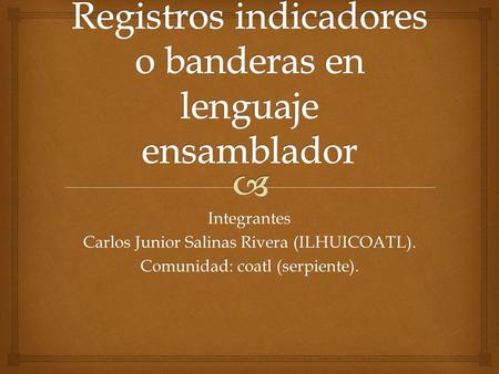Integrantes Carlos Junior Salinas Rivera (ILHUICOATL). Comunidad: coatl (serpiente).