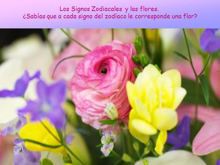 Los Signos Zodiacales y las flores.