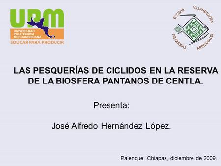 LAS PESQUERÍAS DE CICLIDOS EN LA RESERVA DE LA BIOSFERA PANTANOS DE CENTLA. Presenta: José Alfredo Hernández López. Palenque. Chiapas, diciembre de 2009.