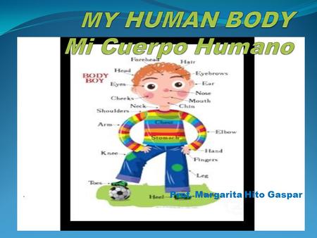 MY HUMAN BODY Mi Cuerpo Humano