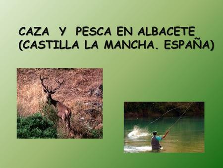 CAZA  Y  PESCA EN ALBACETE