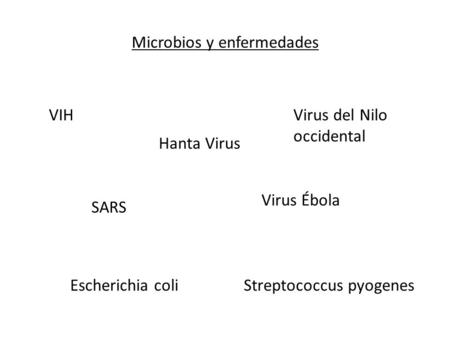Microbios y enfermedades