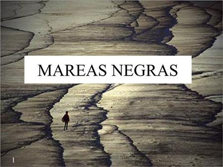MAREAS NEGRAS The accidente of Prestige took place on the 13rd of November 2002 near Galicia. The oil tanker Prestige was 26 years old ship loaded with.