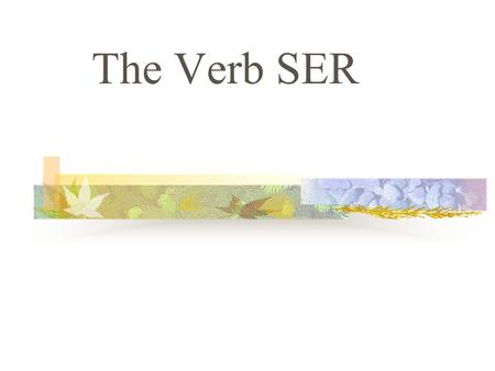 The Verb SER SER The verb SER means “to be” In Spanish, a verb has different forms to tell you who the subject is. Changing a verb form so that it matches.