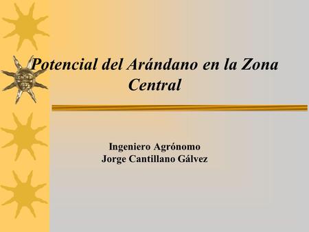 Potencial del Arándano en la Zona Central