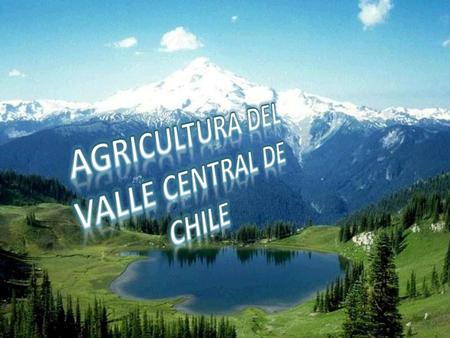 AGRICULTURA DEL VALLE CENTRAL DE CHILE