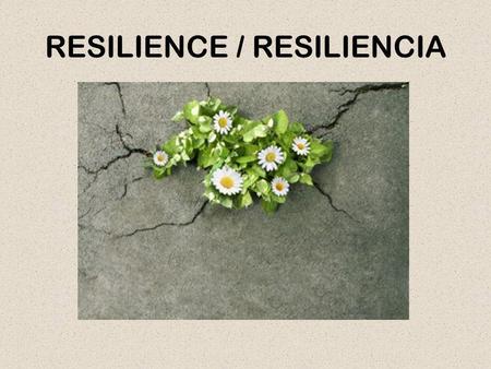 RESILIENCE / RESILIENCIA. BOUNCING BACK / REBOTAR.