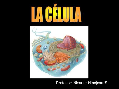LA CÉLULA Profesor: Nicanor Hinojosa S..