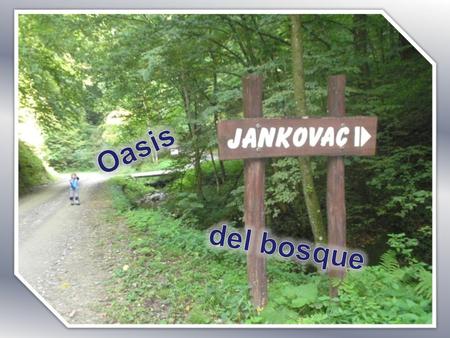 Jankovac es una localidad para la gira y está aproximadamente 100 km de la ciudad Osijek. El está en norte del monte Papuk en altitud de 475 m.