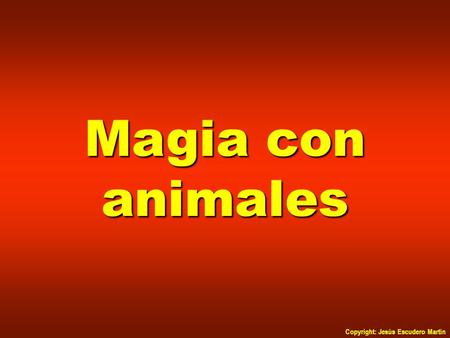Copyright: Jesús Escudero Martín Magia con animales.