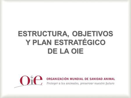 ESTRUCTURA, OBJETIVOS Y PLAN ESTRATÉGICO DE LA OIE.