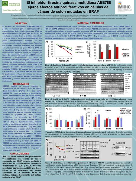 (aracelivalverde_es@hotmail.com) El inhibidor tirosina quinasa multidiana AEE788 ejerce efectos antiproliferativos en células de cáncer de colon mutadas.