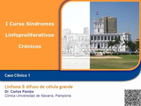 I Curso Síndromes Linfoproliferativos Crónicos