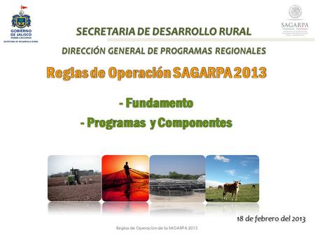 Reglas de Operación de la SAGARPA 2013 SECRETARIA DE DESARROLLO RURAL DIRECCIÓN GENERAL DE PROGRAMAS REGIONALES 18 de febrero del 2013.