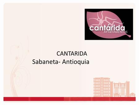 CANTARIDA  Sabaneta- Antioquia.