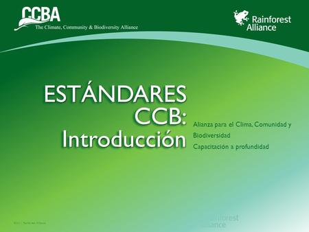 ESTÁNDARES CCB: Introducción