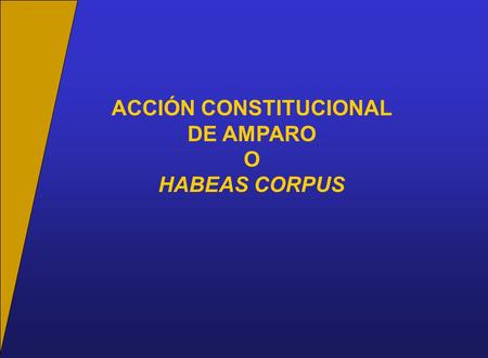 ACCIÓN CONSTITUCIONAL