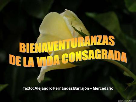 Texto: Alejandro Fernández Barrajón – Mercedario