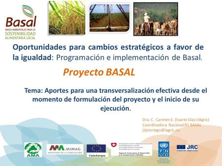Oportunidades para cambios estratégicos a favor de la igualdad: Programación e implementación de Basal.  Proyecto BASAL Tema: Aportes para una transversalización.