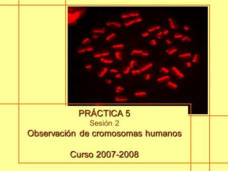 Observación de cromosomas humanos