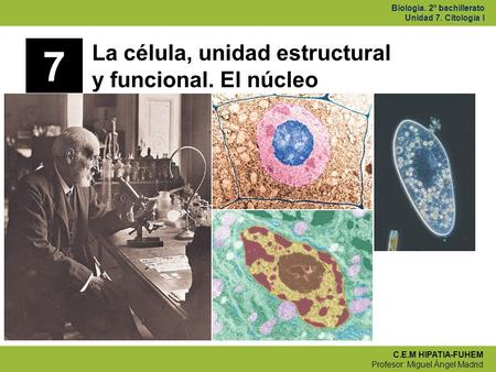 7 La célula, unidad estructural y funcional. El núcleo.