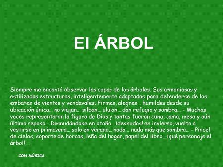 El ÁRBOL CON MÚSICA Siempre me encantó observar las copas de los árboles. Sus armoniosas y estilizadas estructuras, inteligentemente adaptadas para defenderse.