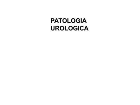 PATOLOGIAUROLOGICA.