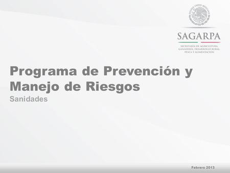 Programa de Prevención y Manejo de Riesgos Sanidades Febrero 2013.