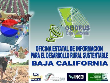La Ley de Desarrollo Rural Sustentable contempla el establecimiento del Sistema Nacional de Información para el Desarrollo Rural Sustentable (SNIDRUS),