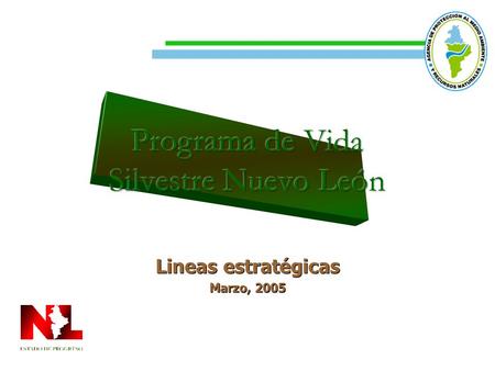 Lineas estratégicas Marzo, 2005 Lineas estratégicas Marzo, 2005.
