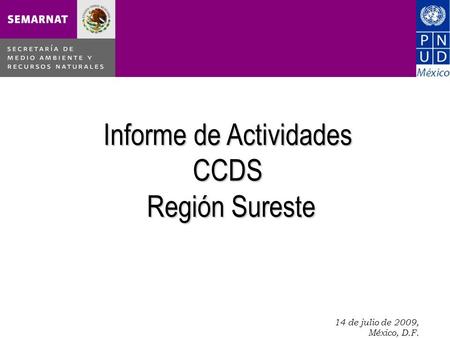 14 de julio de 2009, México, D.F. Informe de Actividades CCDS Región Sureste.