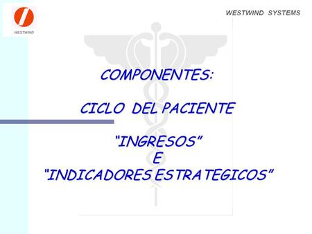 WESTWIND SYSTEMS COMPONENTES: CICLO DEL PACIENTE “INGRESOS” E “INDICADORES ESTRATEGICOS”