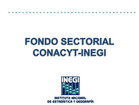 Convocatoria La Convocatoria 1 se publicó el 30 de mayo del 2011 con cinco temas de interés para el INEGI: Estrategia, política y normatividad para la.