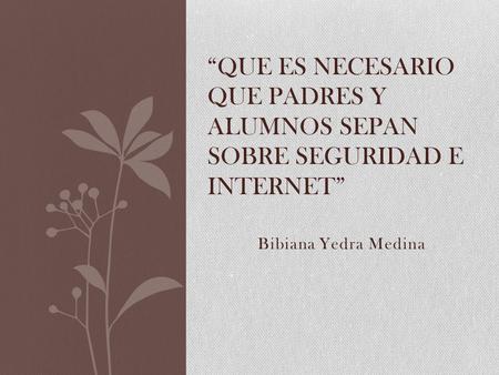 “que es necesario que padres y alumnos sepan sobre seguridad e internet” Bibiana Yedra Medina.