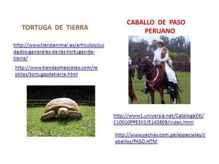 dados-generales-de-las-tortugas-de- tierra/  ptiles/tortugasdetierra.html