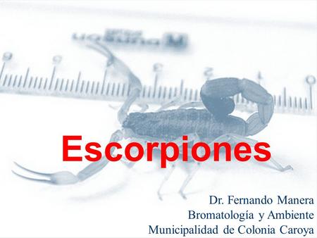 Escorpiones Dr. Fernando Manera Bromatología y Ambiente