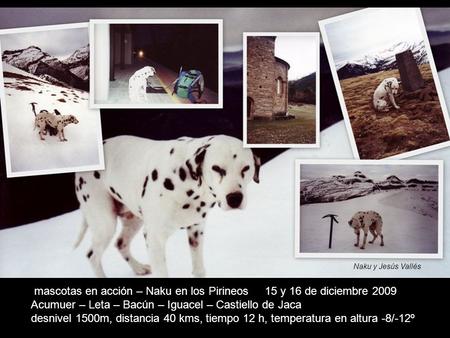 Mascotas en acción – Naku en los Pirineos 15 y 16 de diciembre 2009 Acumuer – Leta – Bacún – Iguacel – Castiello de Jaca desnivel 1500m, distancia 40 kms,