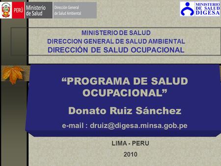 “PROGRAMA DE SALUD OCUPACIONAL” Donato Ruiz Sánchez   LIMA - PERU 2010 MINISTERIO DE SALUD DIRECCION GENERAL DE SALUD.